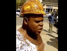 Silvanos Mudzvova activism in Zimbabwe